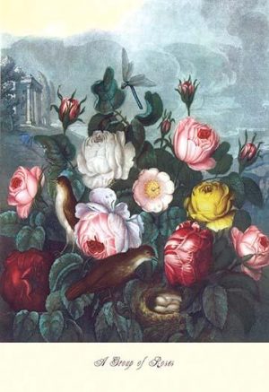 Roses - Temple of Flora(20" x 30") Canvas Wall Art