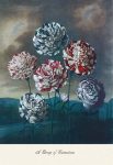 flower wall painting
