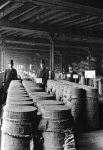 " Cinnamon Sacks, London"