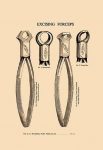 Excising Forceps