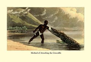 Method of Attacking the Crocodile(20" x 30") Canvas Wall Art