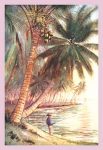 Fishing Under the Coconut Trees