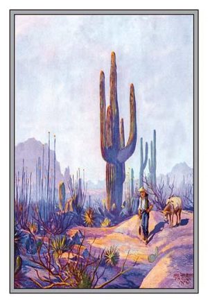 Cactus canvas art