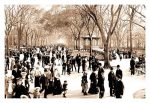 " Central Park: Panoramic View of the Mall, c.1902"