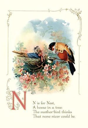 N is for Nest(20" x 30") Canvas Wall Art