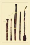 " Dolciano, Oboe da Caccia, Oboe, Basset Horn and Bassoon"
