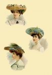 Ladies in Nature Accessories