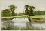 In Charlecote Park