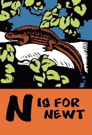 N is for Newt(20" x 30") Canvas Wall Art