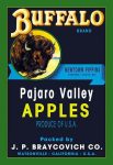 Buffalo Brand Apples