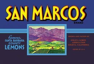 San Marcos Brand Lemons(20" x 30") Canvas Wall Art