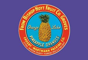 Orange Lake Brand Pineapples(20" x 30") Canvas Wall Art