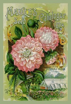Maule’s Seed Catalogue, 1894(20″ x 30″) Canvas Wall Art – Urbane ...