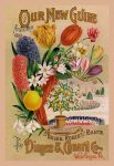 " Our New Guide, Autumn 1894"