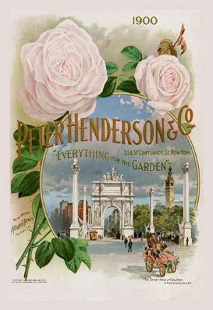 Peter Henderson and Co. - "Everything for the Garden"(20" x 30") Canvas Wall Art