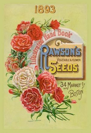 Rawson's Vegetable and Flower Seeds(20" x 30") Canvas Wall Art