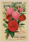 vintage floral wall art