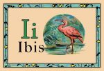animal alphabet wall stickers