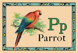 Parrot(20" x 30") Canvas Wall Art