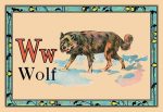 Wolf