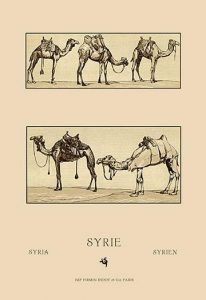 A Variety of Howdahs from Syria
