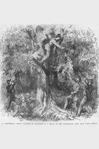 Confederate Officer caught in a Tree