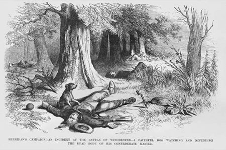 Dog mourns death of his Confederate master after the Battle of Winchester
