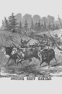 African American Cattle Drovers