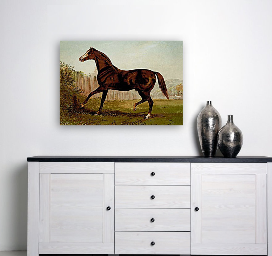 Horse Prints Art To Decorate Your Home