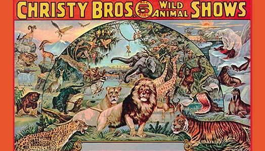 Christy Bros. 5 Ring Wild Animal Shows
