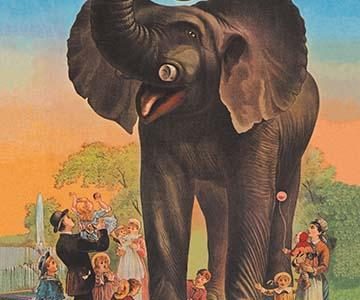 Jumbo - The Children's Giant Pet