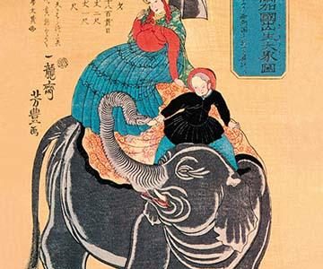 Namibian Ukiyo-e Elephant