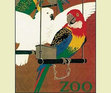 The London Zoo: Exotic Birds