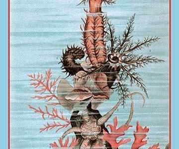 Ocean Floor Art in Nature