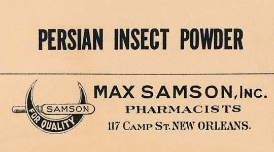 Persian Insect Powder