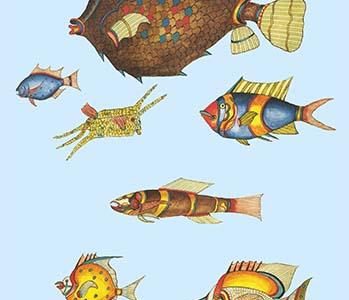 Rarest Curiosities of the Fish of the Indies