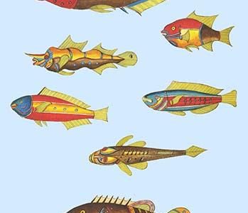 Rarest Curiosities of the Fish of the Indies