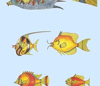 Rarest Curiosities of the Fish of the Indies