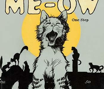 Me-ow One Step